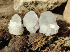 Natural White Cactus Flower Spirit Amethyst Crystals x 46 From South Africa - Toprock Gemstones and Minerals 