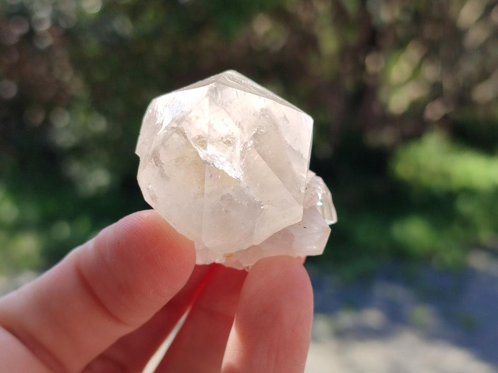 Natural White Cactus Flower Spirit Amethyst Crystals x 46 From South Africa - Toprock Gemstones and Minerals 