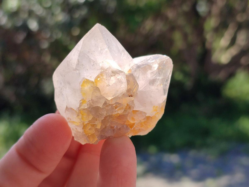 Natural White Cactus Flower Spirit Amethyst Crystals x 46 From South Africa - Toprock Gemstones and Minerals 