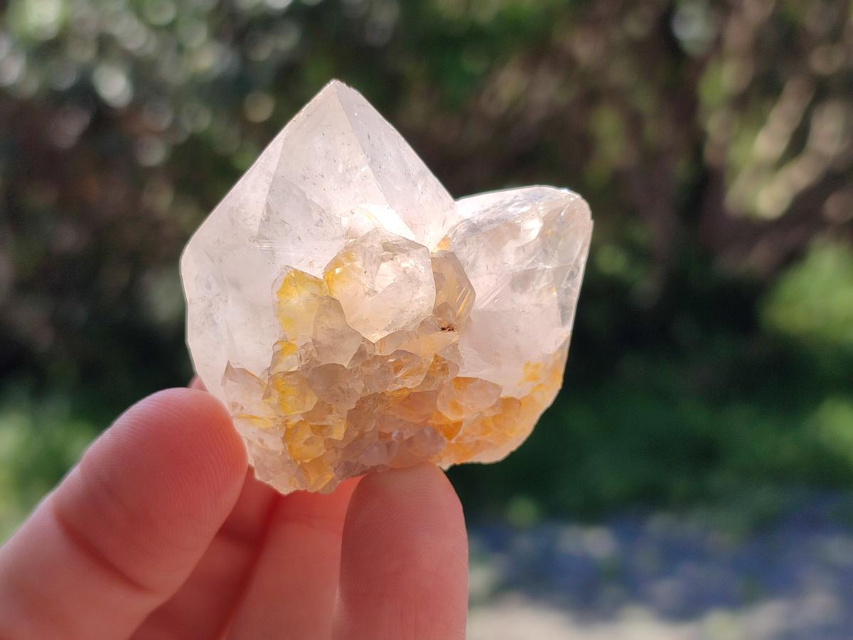 Natural White Cactus Flower Spirit Amethyst Crystals x 46 From South Africa - Toprock Gemstones and Minerals 