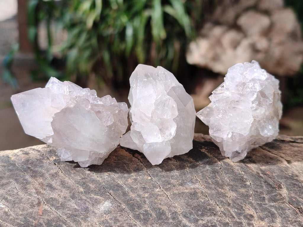 Natural White Cactus Flower Spirit Amethyst Crystals x 46 From South Africa - Toprock Gemstones and Minerals 