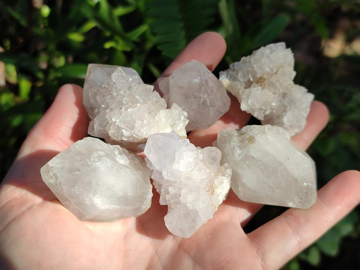 Natural White Cactus Flower Spirit Amethyst Crystals x 46 From South Africa - Toprock Gemstones and Minerals 