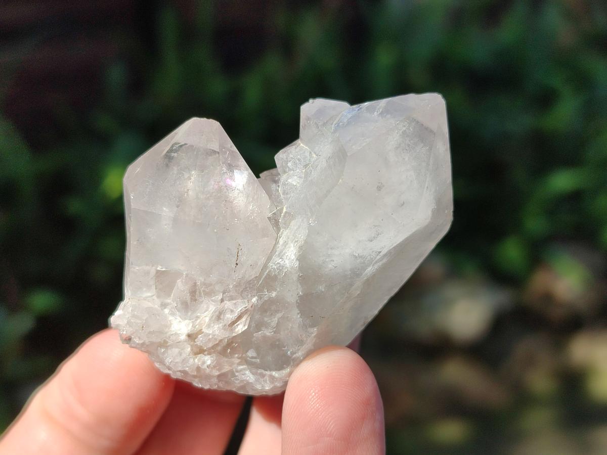 Natural White Cactus Flower Spirit Amethyst Crystals x 46 From South Africa - Toprock Gemstones and Minerals 