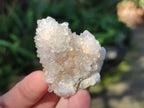 Natural White Cactus Flower Spirit Amethyst Crystals x 46 From South Africa - Toprock Gemstones and Minerals 