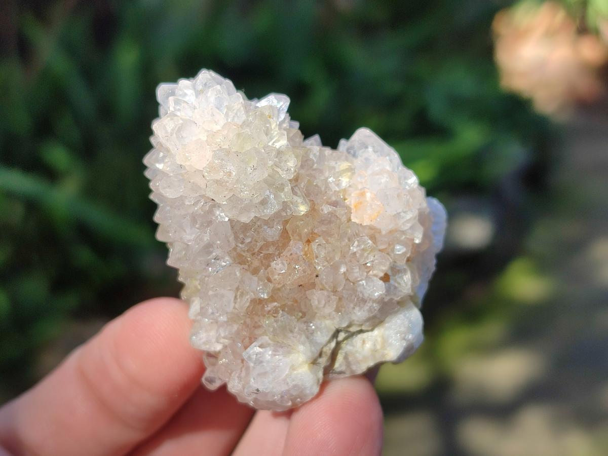 Natural White Cactus Flower Spirit Amethyst Crystals x 46 From South Africa - Toprock Gemstones and Minerals 