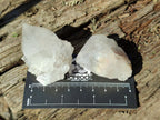 Natural White Cactus Flower Spirit Amethyst Crystals x 46 From South Africa - Toprock Gemstones and Minerals 