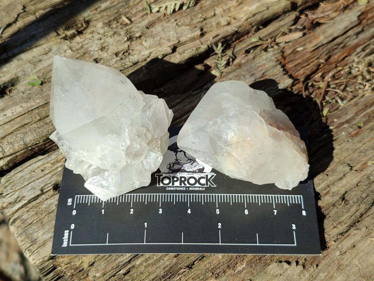 Natural White Cactus Flower Spirit Amethyst Crystals x 46 From South Africa - Toprock Gemstones and Minerals 
