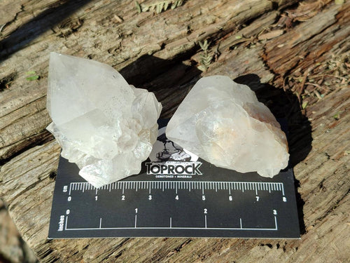 Natural White Cactus Flower Spirit Amethyst Crystals x 46 From South Africa - Toprock Gemstones and Minerals 