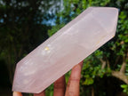 Polished Large Double Terminated Gemmy Rose Quartz Crystals x 2 From Madagascar - Toprock Gemstones and Minerals 