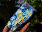 Polished Large Labradorite Standing Display Pieces x 2 From Madagascar - Toprock Gemstones and Minerals 