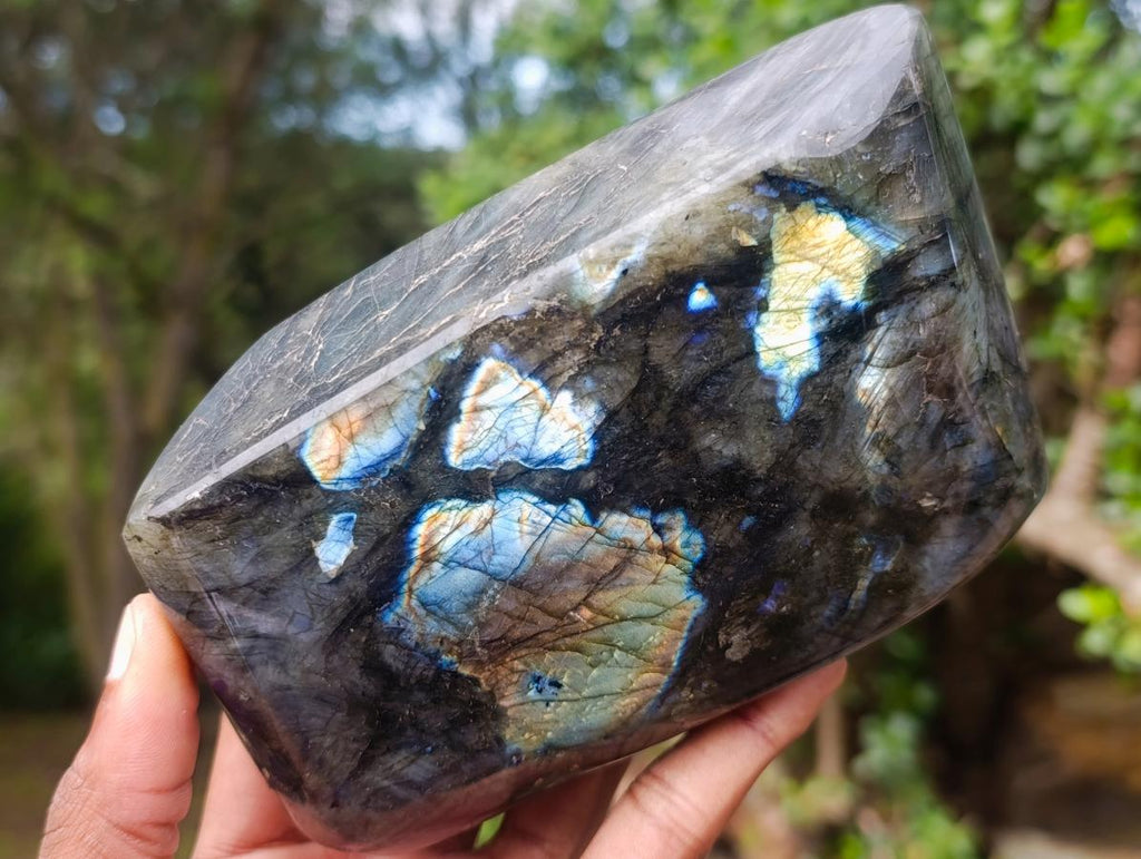 Polished Large Labradorite Standing Display Pieces x 2 From Madagascar - Toprock Gemstones and Minerals 