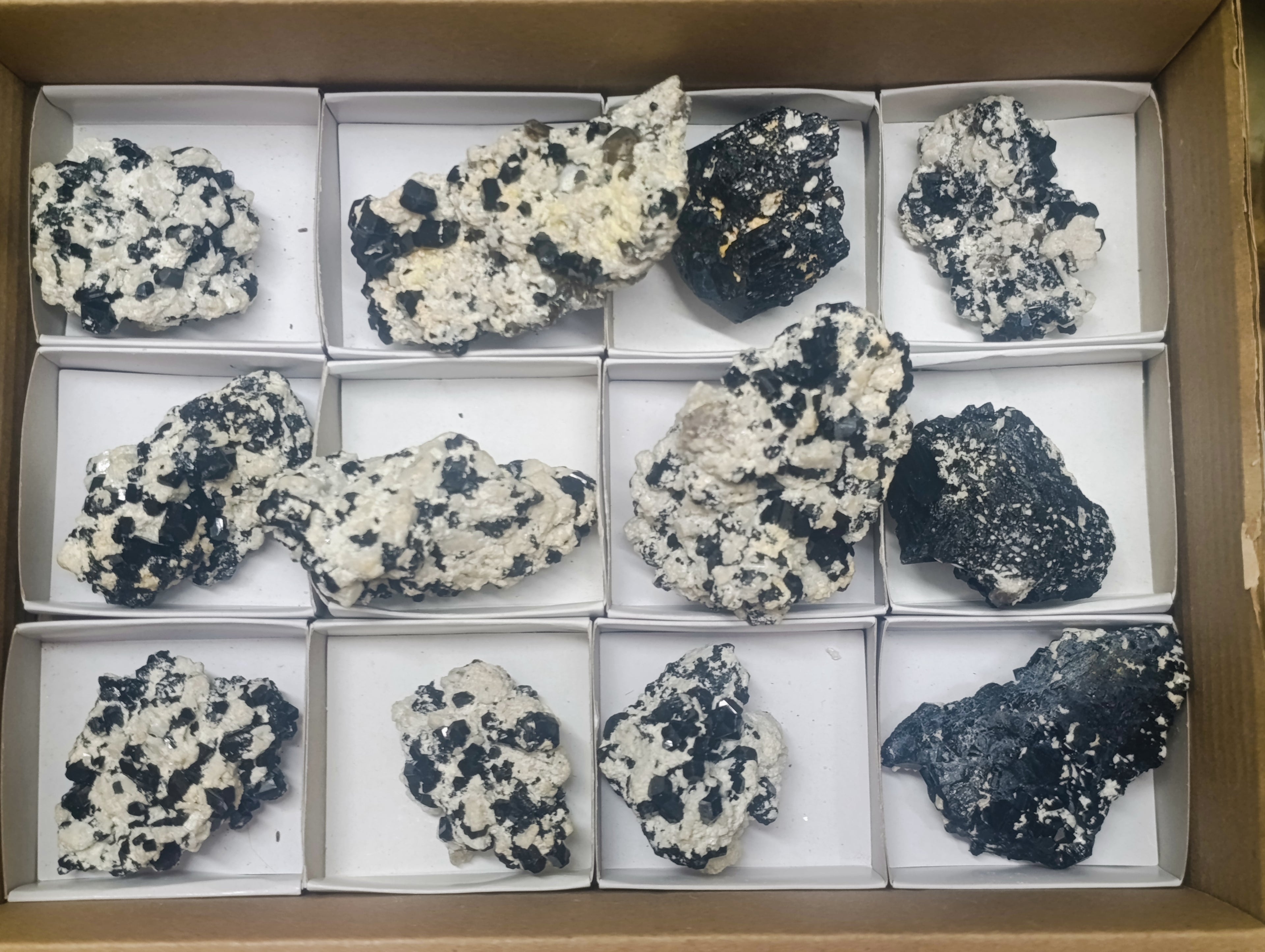 Natural Schorl Black Tourmaline with Feldspar Specimens x 12 From Erongo, Namibia