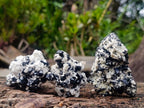 Natural Schorl Black Tourmaline with Feldspar Specimens x 12 From Erongo, Namibia - Toprock Gemstones and Minerals 