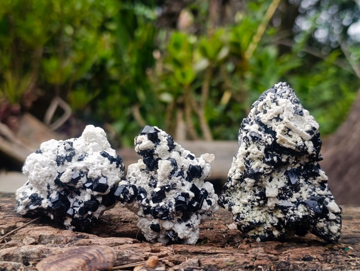Natural Schorl Black Tourmaline with Feldspar Specimens x 12 From Erongo, Namibia - Toprock Gemstones and Minerals 