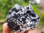 Natural Schorl Black Tourmaline with Feldspar Specimens x 12 From Erongo, Namibia - Toprock Gemstones and Minerals 