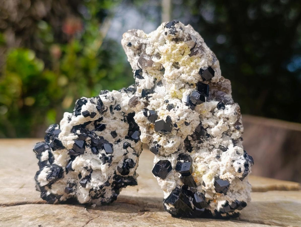 Natural Schorl Black Tourmaline with Feldspar Specimens x 12 From Erongo, Namibia - Toprock Gemstones and Minerals 
