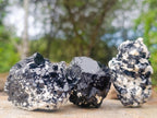 Natural Schorl Black Tourmaline with Feldspar Specimens x 12 From Erongo, Namibia - Toprock Gemstones and Minerals 