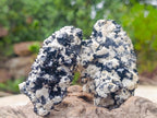 Natural Schorl Black Tourmaline with Feldspar Specimens x 12 From Erongo, Namibia - Toprock Gemstones and Minerals 