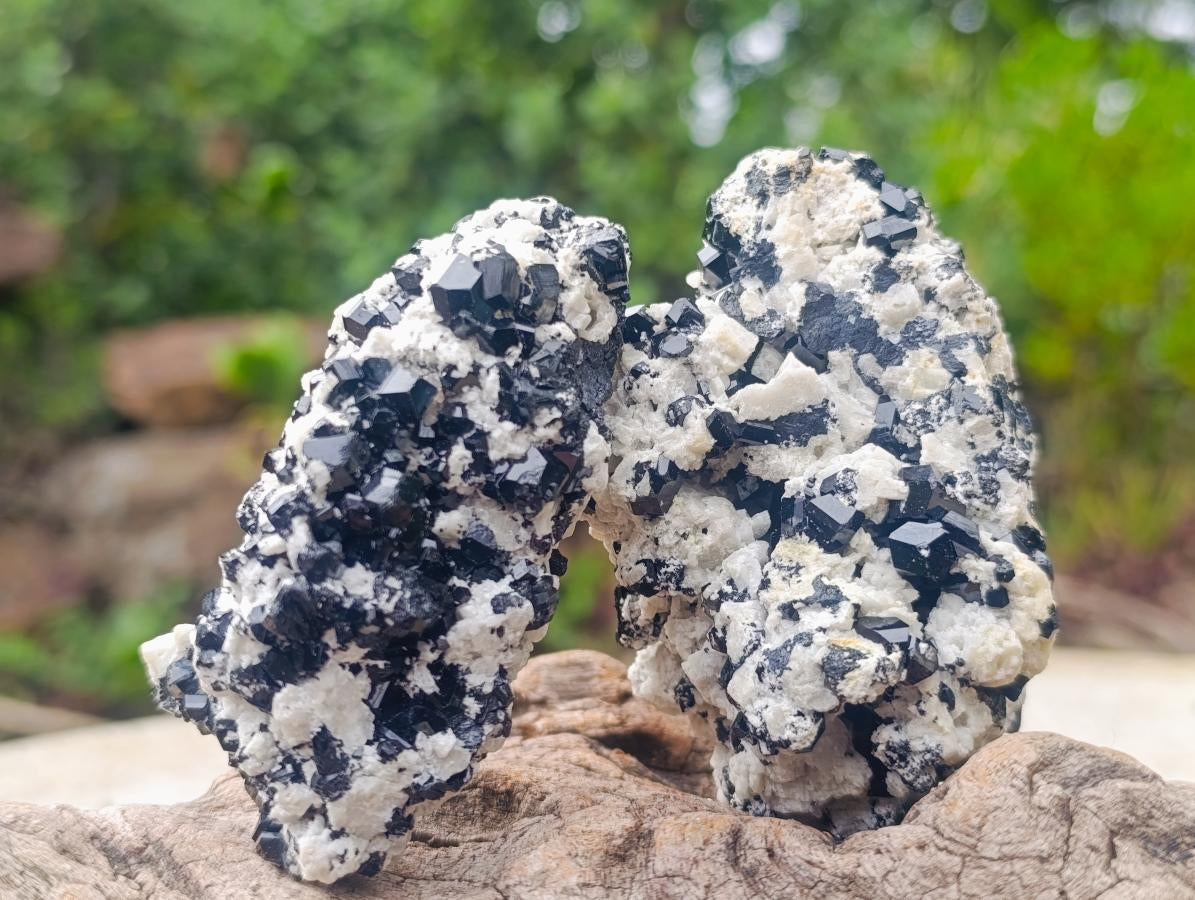 Natural Schorl Black Tourmaline with Feldspar Specimens x 12 From Erongo, Namibia - Toprock Gemstones and Minerals 