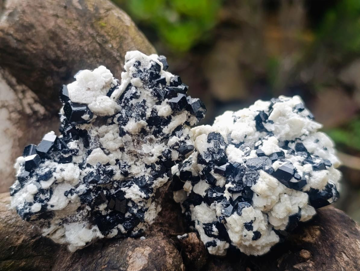 Natural Schorl Black Tourmaline with Feldspar Specimens x 12 From Erongo, Namibia - Toprock Gemstones and Minerals 