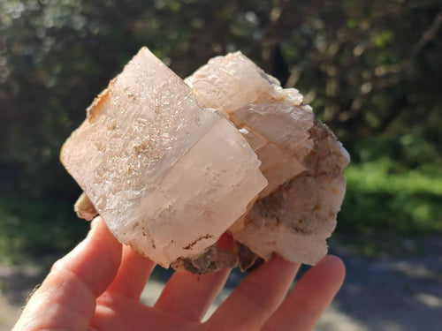 Natural Cabinet Drusy Quartz Coated Calcite Pseudomorph Specimens x 2 From Albert's Mountain, Lesotho - Toprock Gemstones and Minerals 