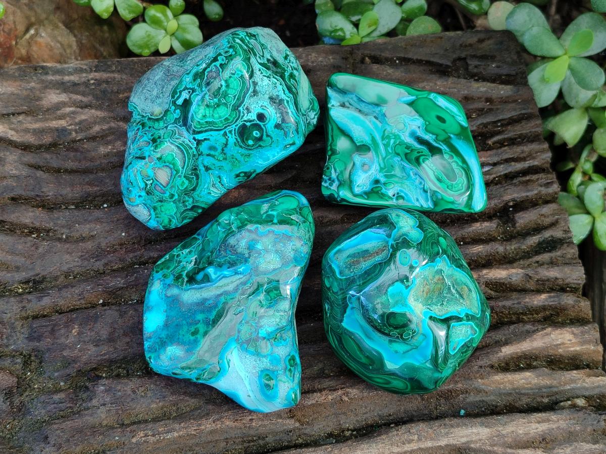 Polished Malacolla Free Forms x 4 From Kulukuluku, Congo - Toprock Gemstones and Minerals 