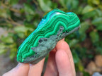 Polished Malacolla Free Forms x 4 From Kulukuluku, Congo - Toprock Gemstones and Minerals 