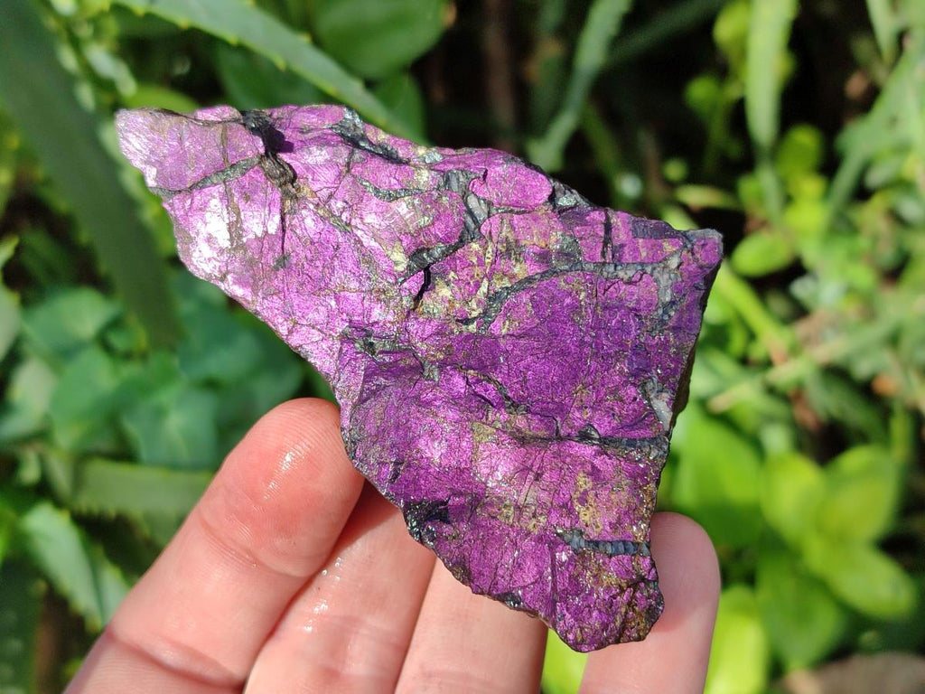 Natural Metallic Cobbed Purpurite Specimens x 12 From Erongo, Namibia - Toprock Gemstones and Minerals 