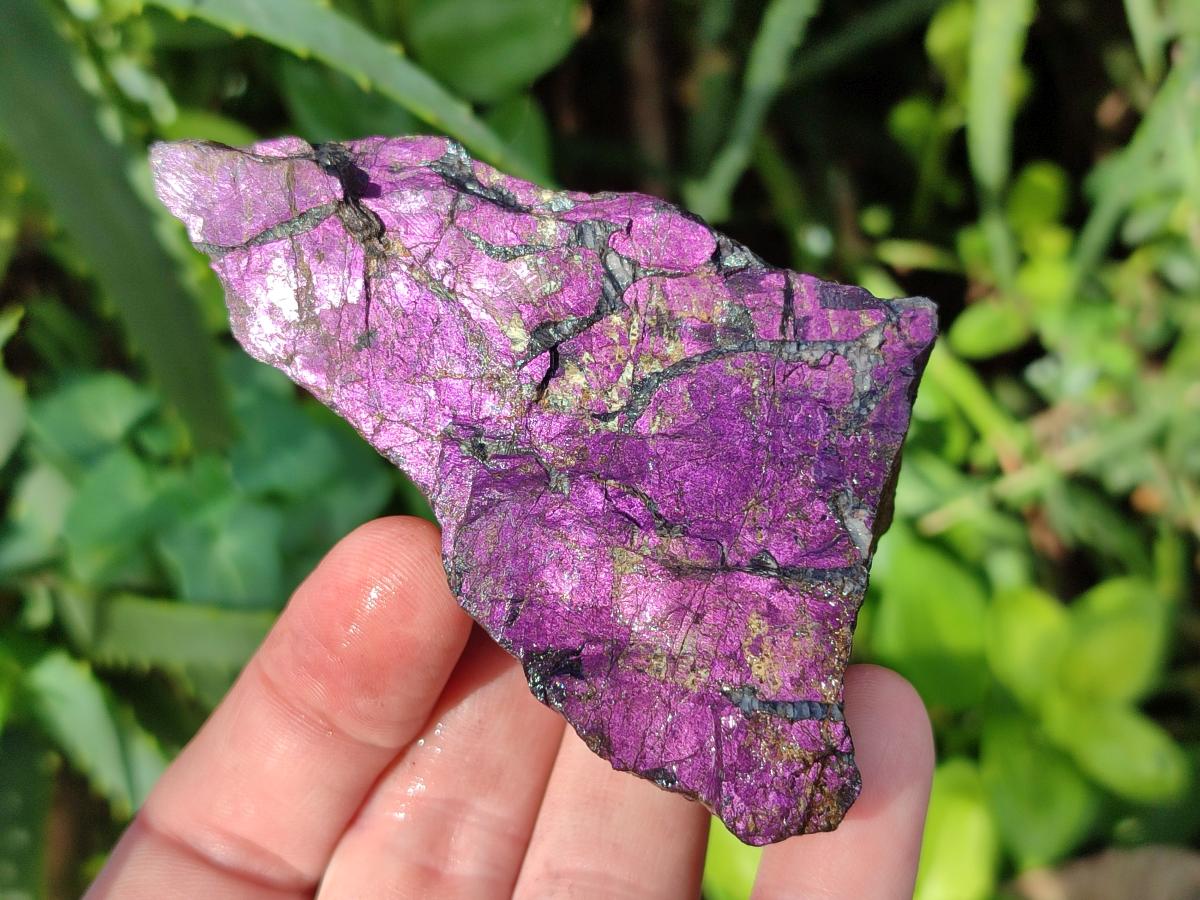 Natural Metallic Cobbed Purpurite Specimens x 12 From Erongo, Namibia - Toprock Gemstones and Minerals 