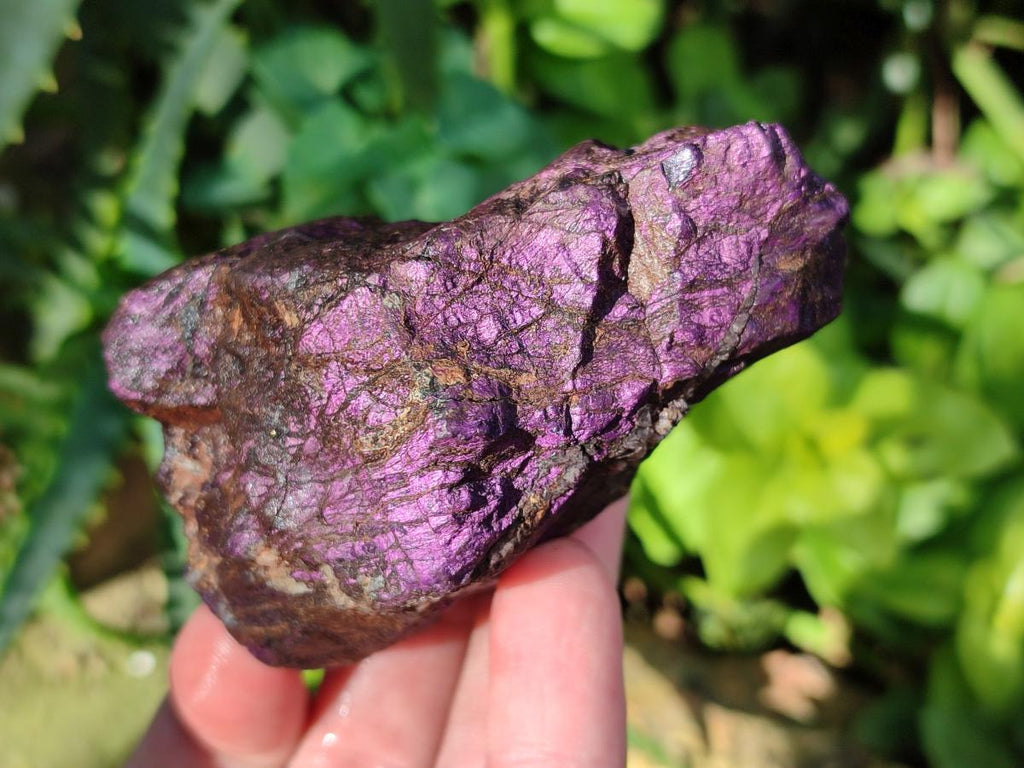 Natural Metallic Cobbed Purpurite Specimens x 12 From Erongo, Namibia - Toprock Gemstones and Minerals 