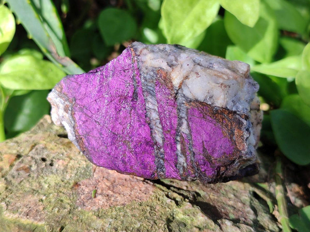 Natural Metallic Cobbed Purpurite Specimens x 12 From Erongo, Namibia - Toprock Gemstones and Minerals 