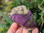 Natural Metallic Cobbed Purpurite Specimens x 12 From Erongo, Namibia - Toprock Gemstones and Minerals 