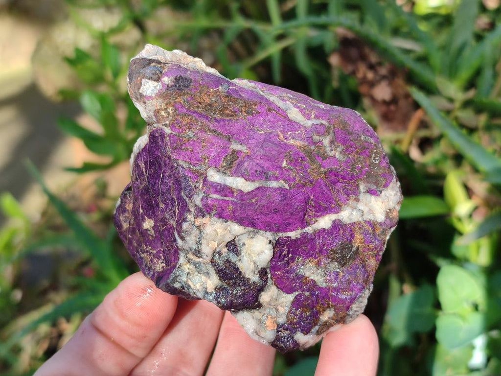 Natural Metallic Cobbed Purpurite Specimens x 12 From Erongo, Namibia - Toprock Gemstones and Minerals 