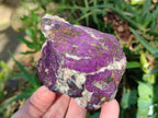 Natural Metallic Cobbed Purpurite Specimens x 12 From Erongo, Namibia - Toprock Gemstones and Minerals 