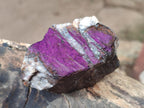 Natural Metallic Cobbed Purpurite Specimens x 12 From Erongo, Namibia - Toprock Gemstones and Minerals 