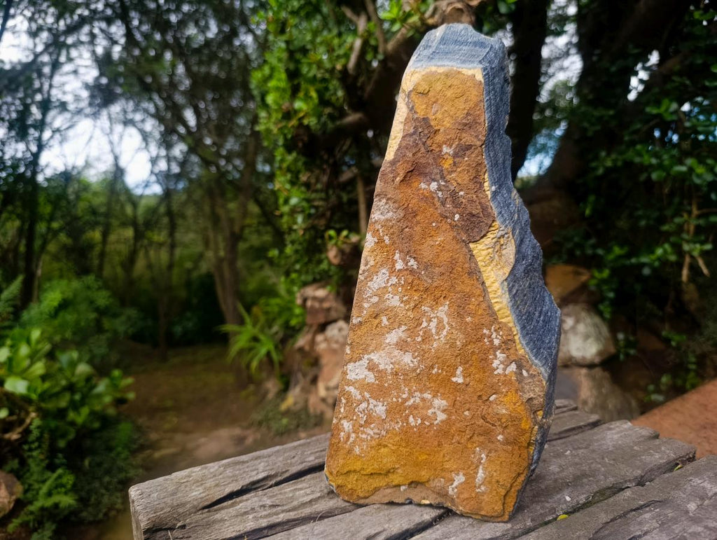 Natural Golden Blue Tigers Eye Slabs x 2 From Prieska, South Africa - Toprock Gemstones and Minerals 