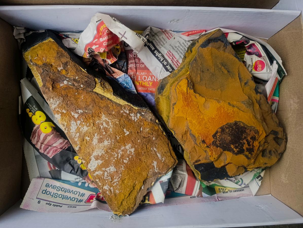 Natural Golden Blue Tigers Eye Slabs x 2 From Prieska, South Africa - Toprock Gemstones and Minerals 