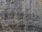 Natural Golden Blue Tigers Eye Slabs x 2 From Prieska, South Africa - Toprock Gemstones and Minerals 
