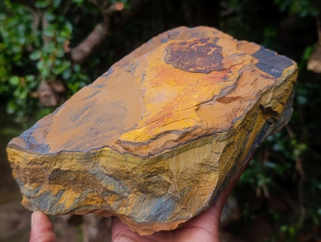 Natural Golden Blue Tigers Eye Slabs x 2 From Prieska, South Africa - Toprock Gemstones and Minerals 