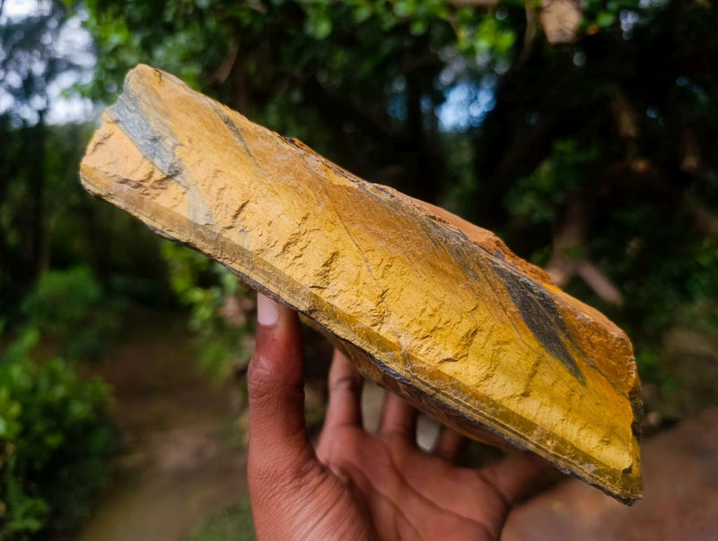 Natural Golden Blue Tigers Eye Slabs x 2 From Prieska, South Africa - Toprock Gemstones and Minerals 