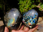 Polished Labradorite Hearts x 3 From Madagascar - Toprock Gemstones and Minerals 