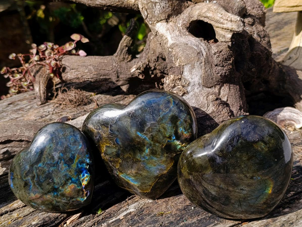 Polished Labradorite Hearts x 3 From Madagascar - Toprock Gemstones and Minerals 