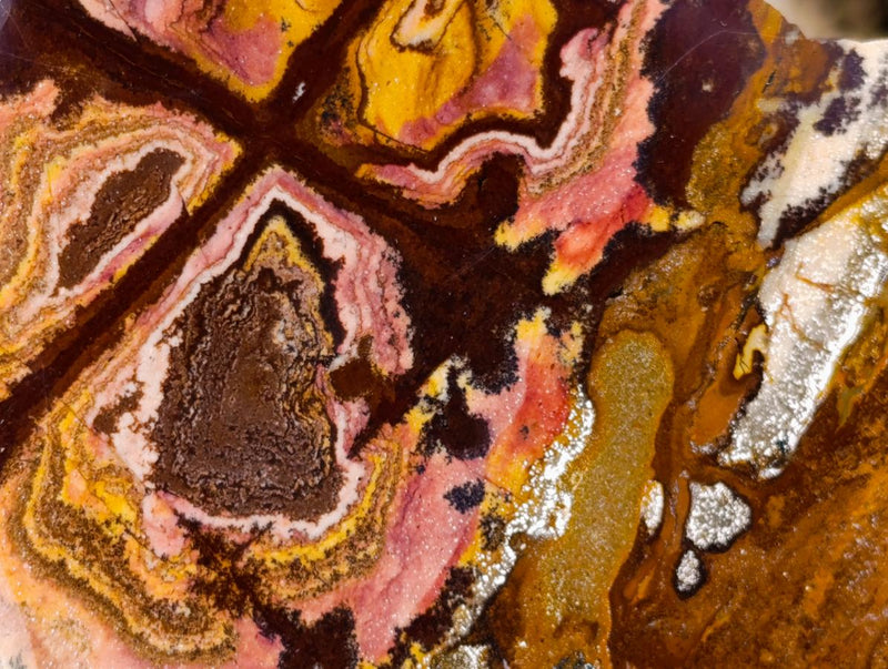 Polished One Side Nguni Jasper Pieces x 2 From Northern Cape, South Africa - Toprock Gemstones and Minerals 