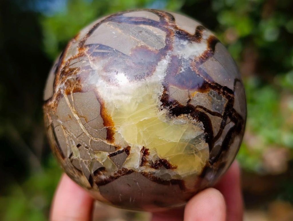 Polished Septerye Spheres x 4 From Mahajanga, Madagascar - Toprock Gemstones and Minerals 