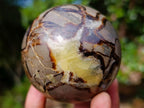 Polished Septerye Spheres x 4 From Mahajanga, Madagascar - Toprock Gemstones and Minerals 