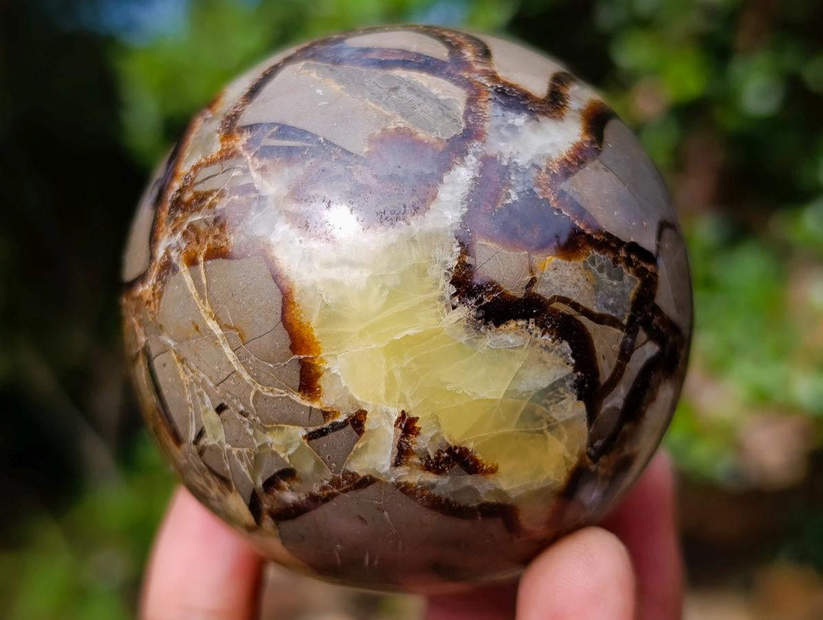 Polished Septerye Spheres x 4 From Mahajanga, Madagascar - Toprock Gemstones and Minerals 