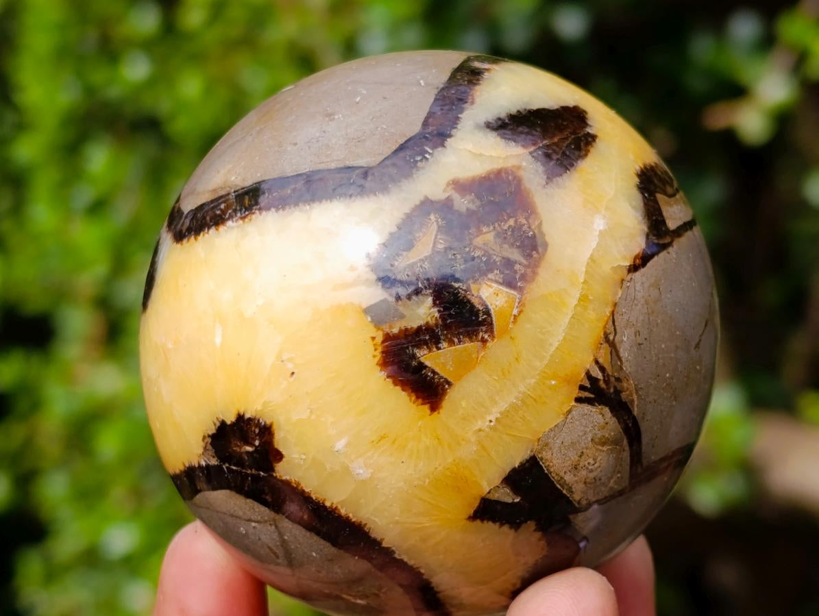 Polished Septerye Spheres x 4 From Mahajanga, Madagascar - Toprock Gemstones and Minerals 