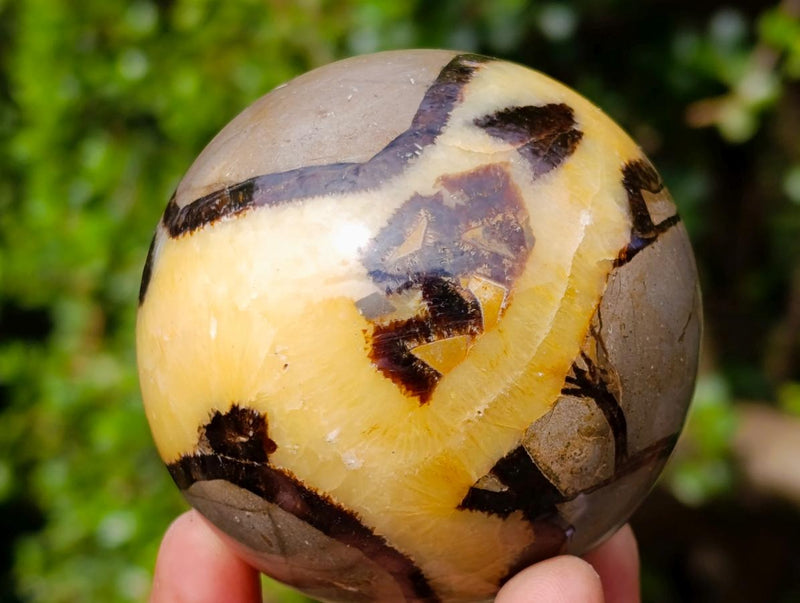 Polished Septerye Spheres x 4 From Mahajanga, Madagascar - Toprock Gemstones and Minerals 