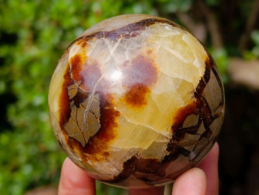 Polished Septerye Spheres x 4 From Mahajanga, Madagascar - Toprock Gemstones and Minerals 