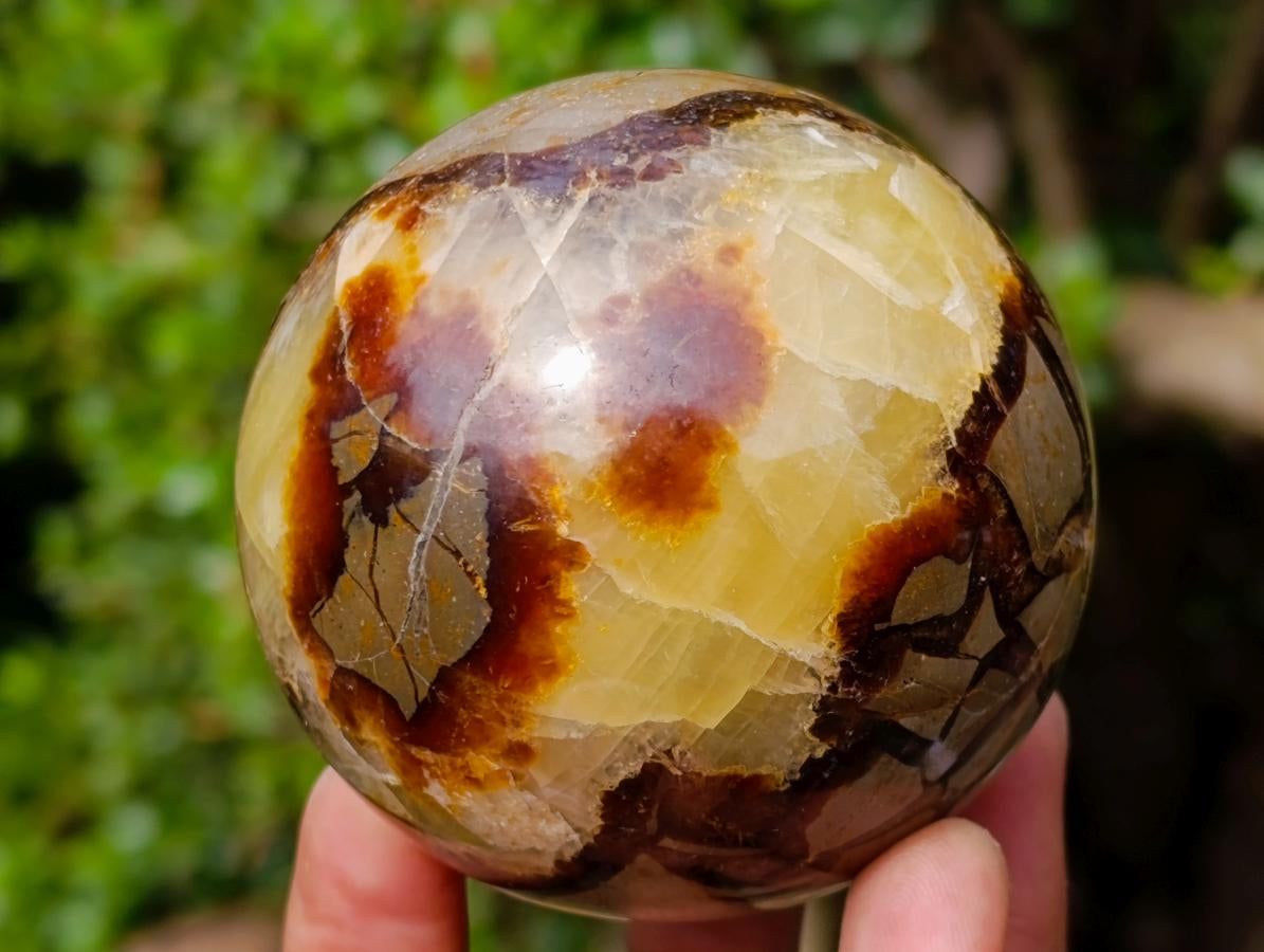 Polished Septerye Spheres x 4 From Mahajanga, Madagascar - Toprock Gemstones and Minerals 